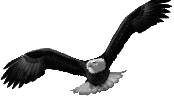 <a href="https://rework.by/employer/490683876/">Азиндор ЧПУП</a>