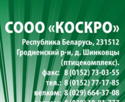 <a href="https://rework.by/employer/590619043-2/">КОСКРО СООО</a>
